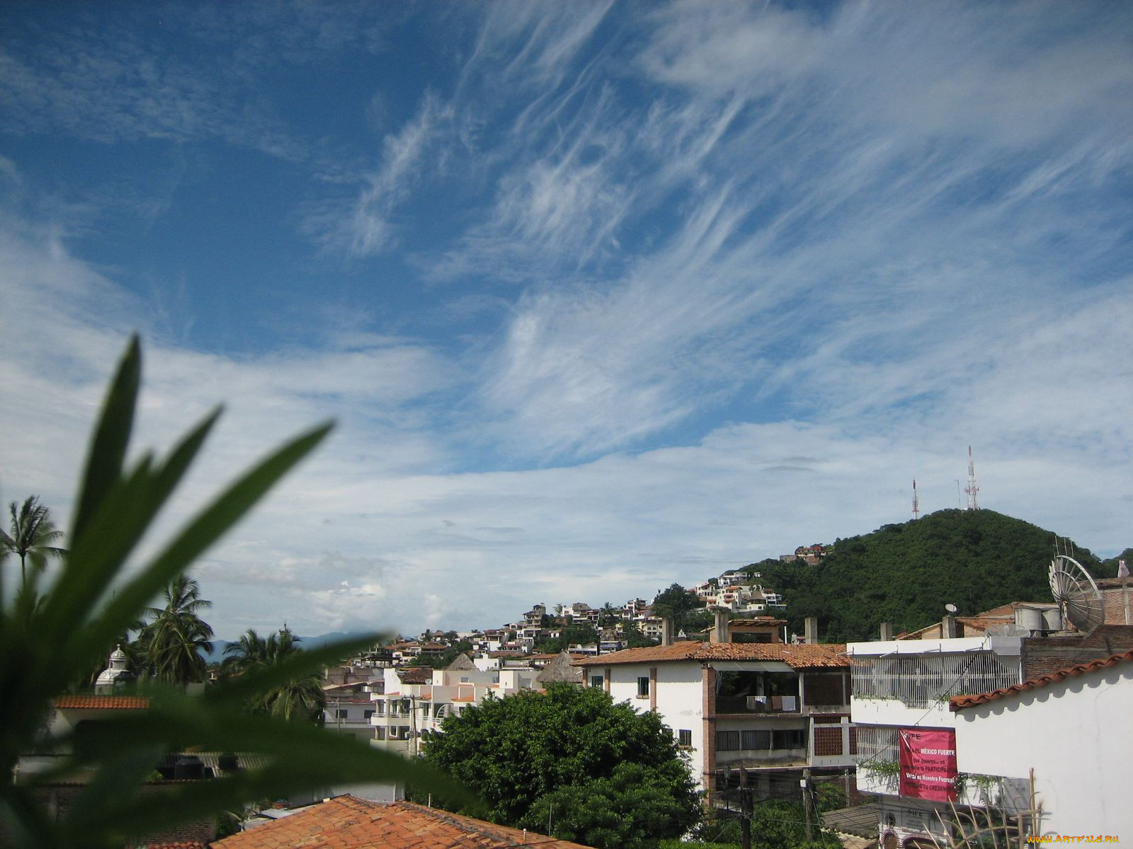 , , puerto, vallarta, 